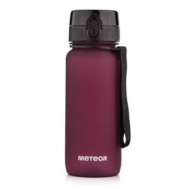 Meteor bottle 650 ml 17660 burgundy