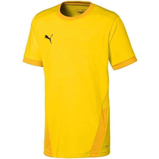 Puma teamGOAL 23 Jersey Jr 704160 07