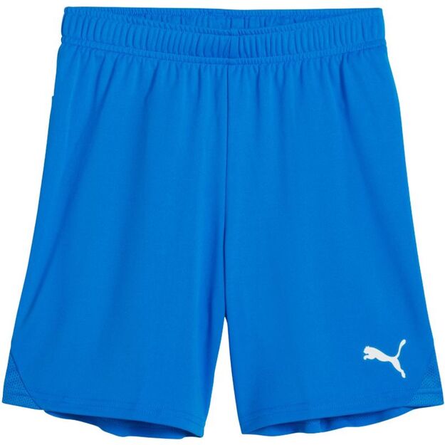 Puma Team Goal kids\  shorts blue 705753 02