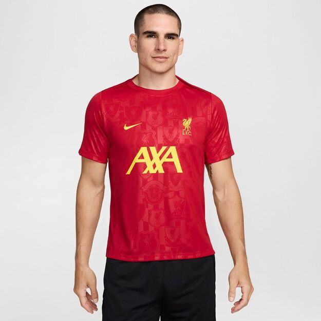 Nike Liverpool FC Academy Pro SStop M FN9653-688 T-Shirt