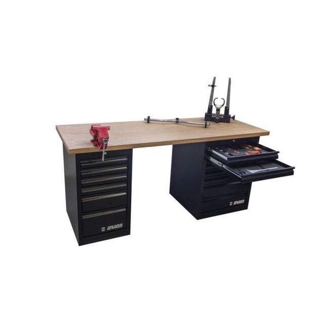 UNIOR Professional Mechanic\ s Workbench