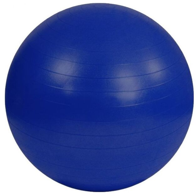 Anti-Burst Gym Ball S825760