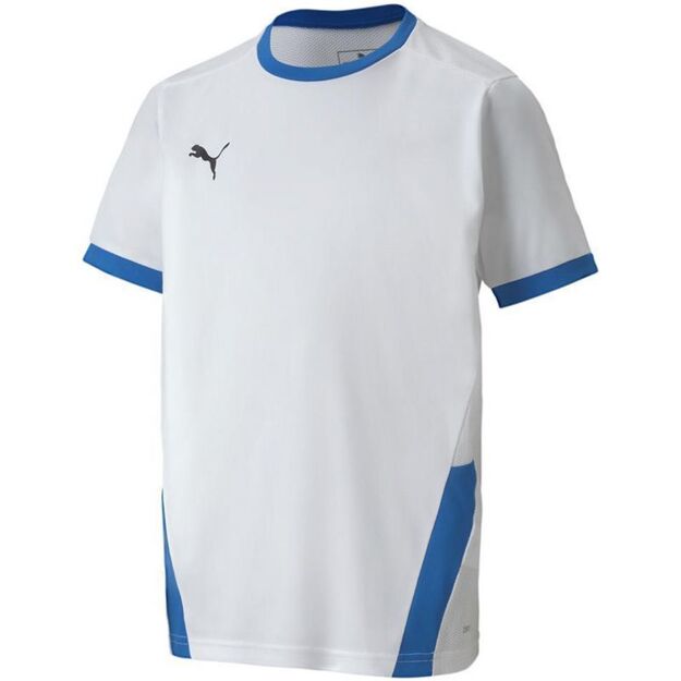 Puma teamGOAL 23 Jersey Jr 704160 12