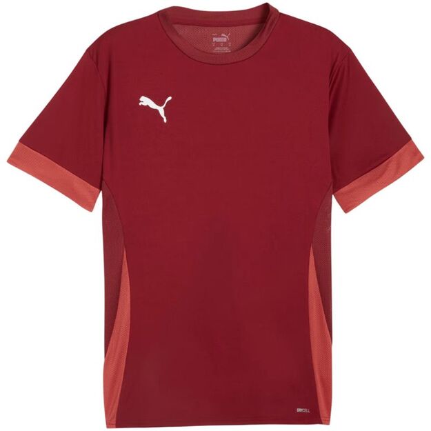 Puma teamGoal Matchday Jersey men\ s burgundy 705747 09
