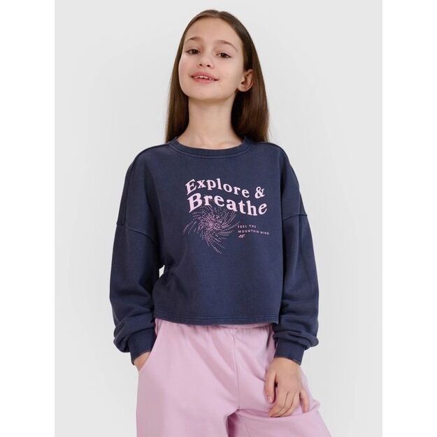 Girls\  sweatshirt without a hood, 4F 4FJWSS25TSWSF1483-22S