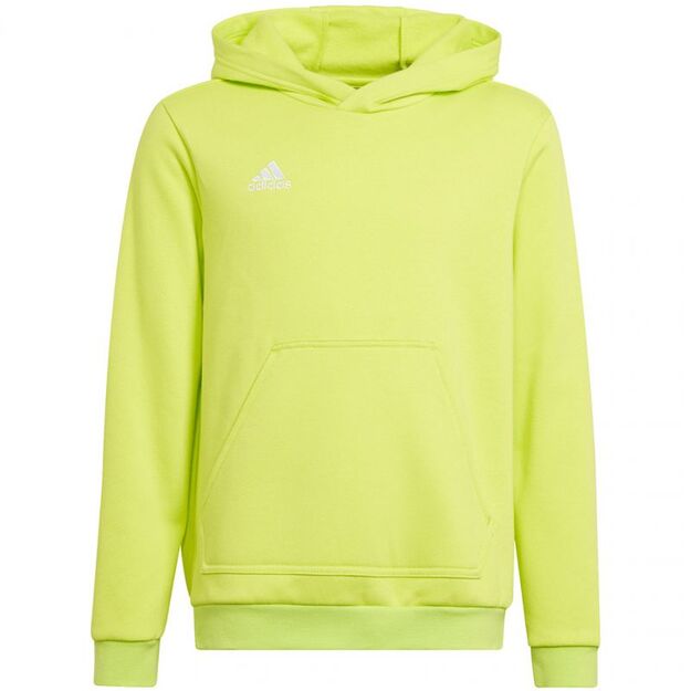 Adidas Entrada 22 Hoody Jr HC5069 sweatshirt