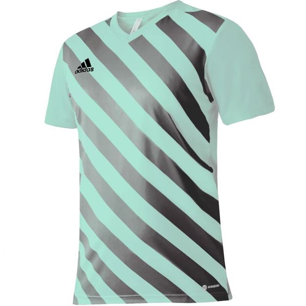 adidas Entrada 22 Graphic Jersey Jr HF0127