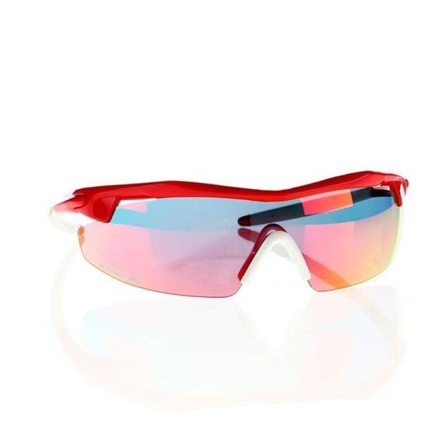 Goggle E690-3 sunglasses