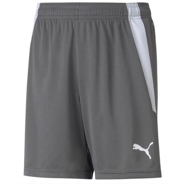 Puma teamLIGA Shorts Jr 704931 13