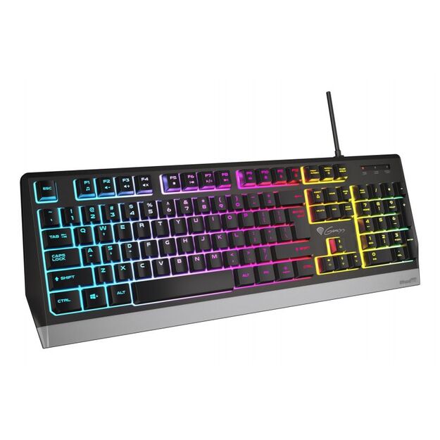 GENESIS GAMING KEYBOARD RHOD 300 RGB US NKG-1528