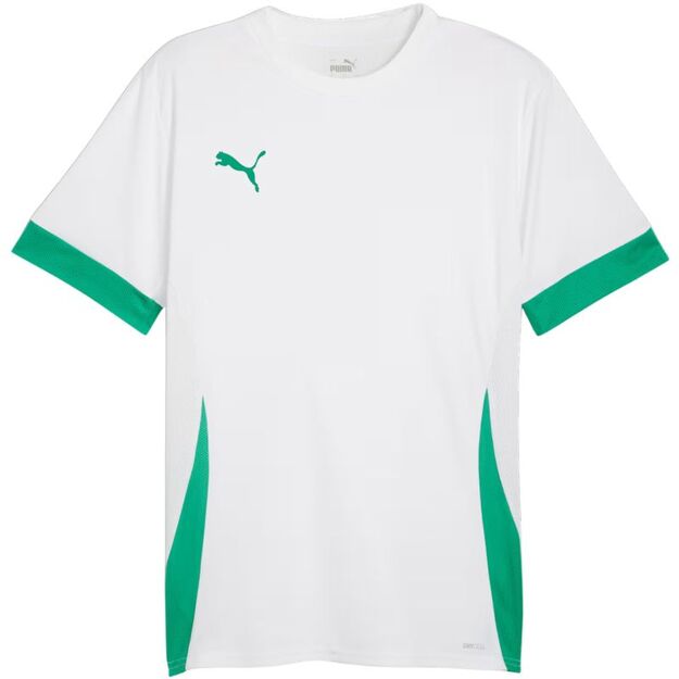 Puma teamGoal Matchday Jersey men\ s white-green 705747 15