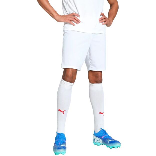 Puma Team Goal men\ s shorts white 705752 04