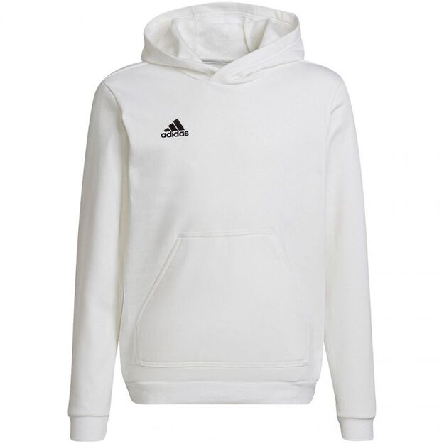 Adidas Entrada 22 Hoody Jr HG6303 sweatshirt