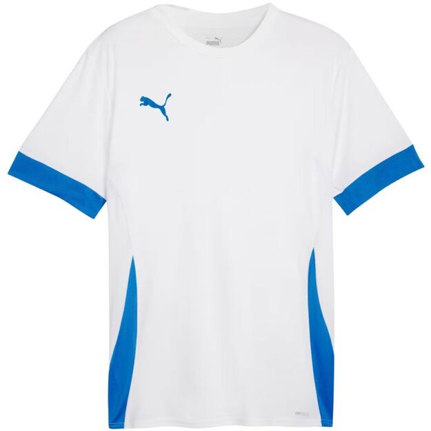 Puma teamGoal Matchday Jersey M 705747 12
