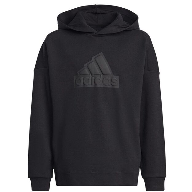 adidas FI Logo HD Jr HR6301 sweatshirt