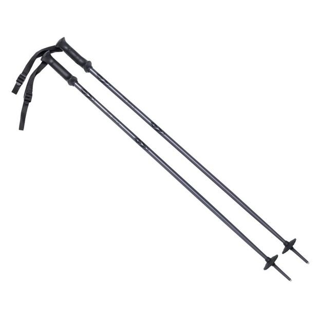 ALPINE SKI II poles