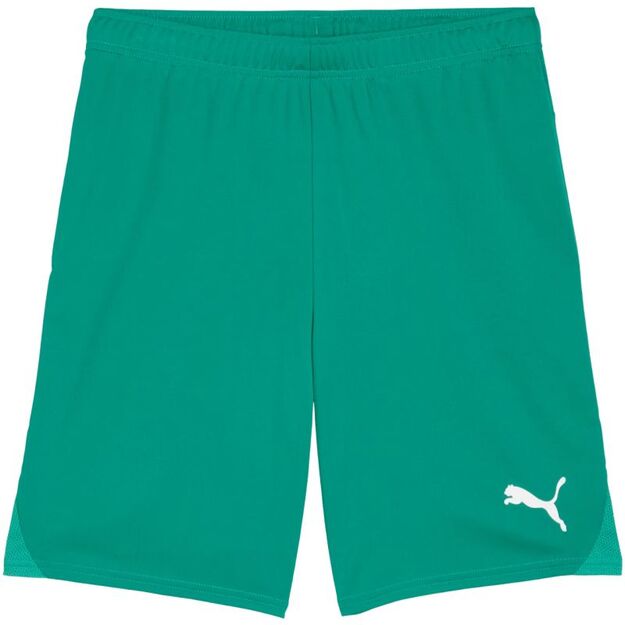 Puma Team Goal men\ s shorts green 705752 05