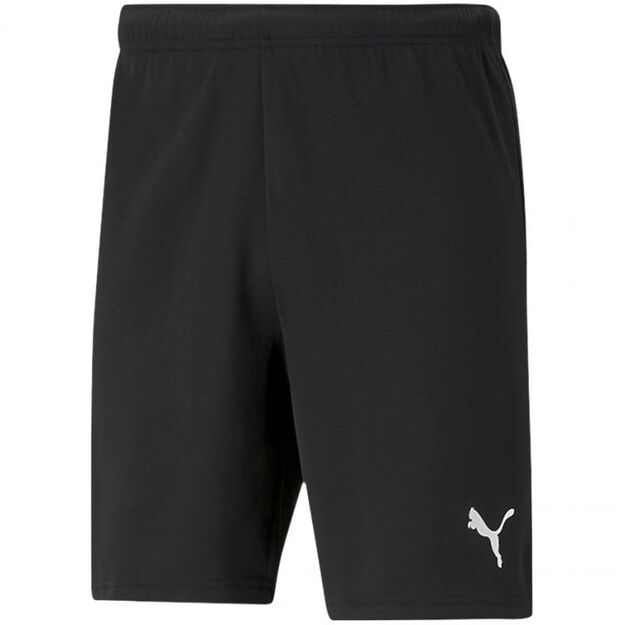 Puma teamRISE Shorts M 704942 04