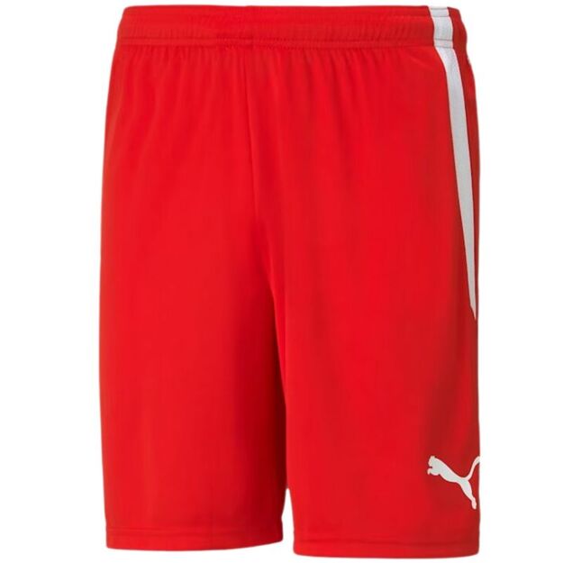 Puma teamLIGA M 704924 01 shorts