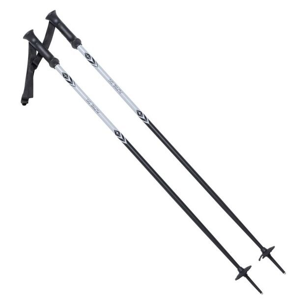 ALPINE SKI II poles