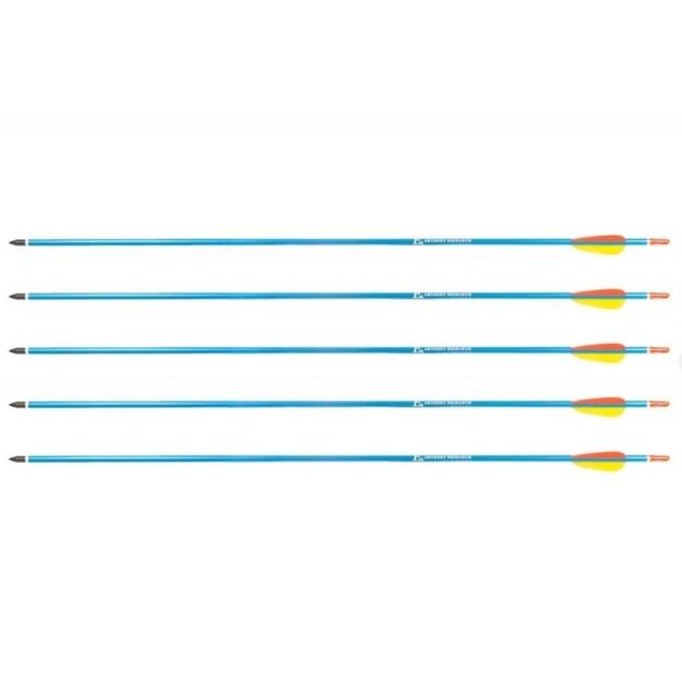 Aluminum Arrows 30  BLUE Poe Lang - Set of 5