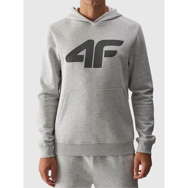 Men\ s sweatshirt with hood, open, 4F 4FWMM00TSWSM1464-27M