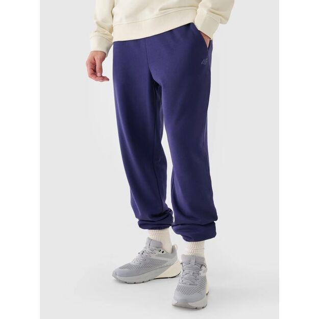 Men\ s jogger sweatpants 4F 4FWMM00TTROM1139-31S