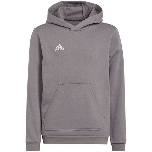Adidas Entrada 22 Hoody Jr Sweatshirt H57515