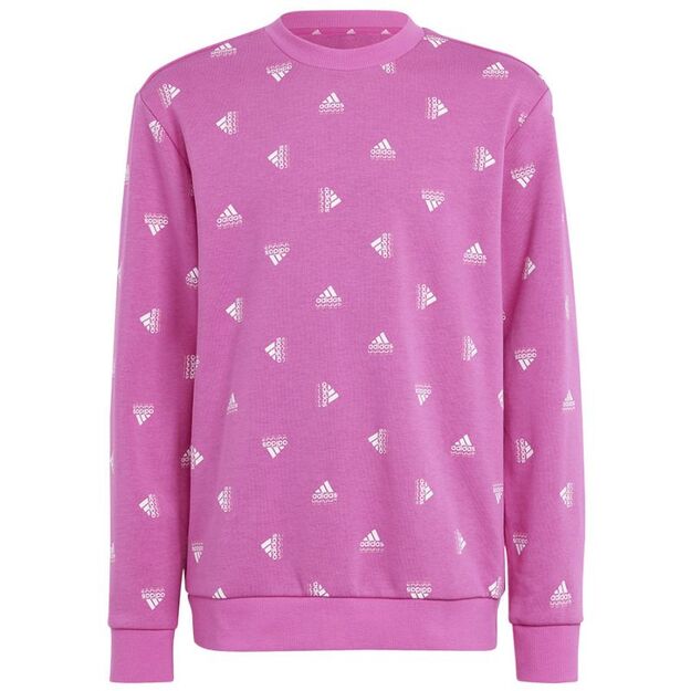 Adidas Bluv Swt Jr IC5573 sweatshirt