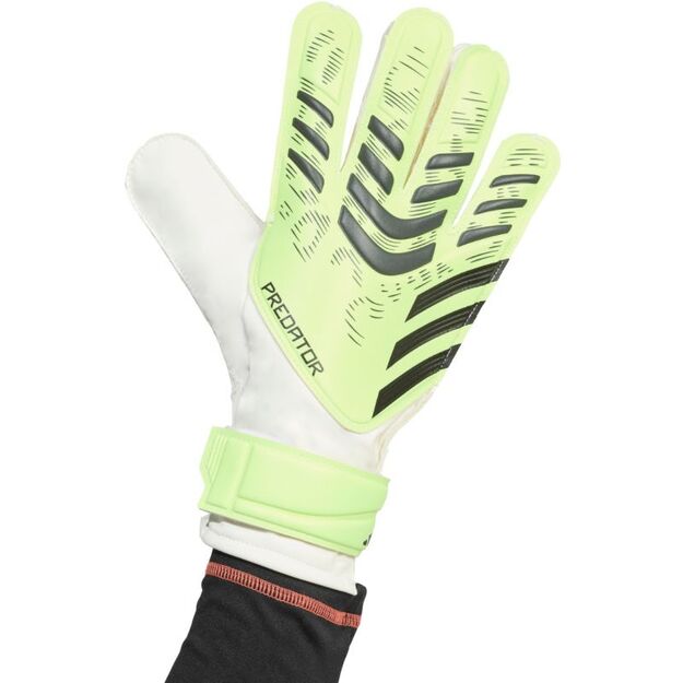 adidas Predator Training M JN5356 goalkeeper gloves