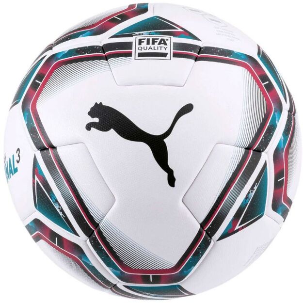 Puma teamFINAL 21.3 Fifa Quality Ball 083306 01