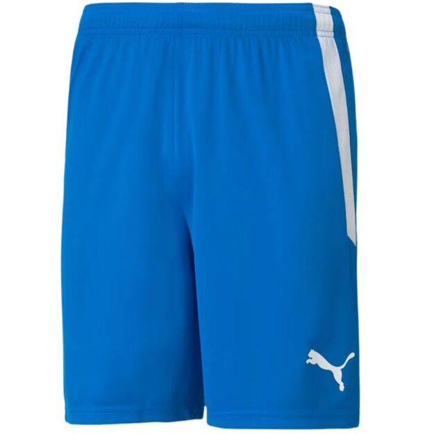 Puma teamLIGA M 704924 02 shorts