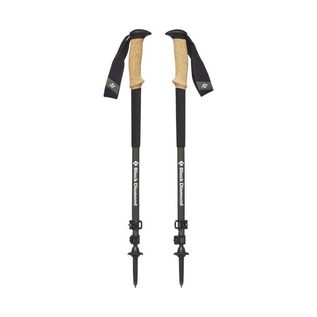Black Diamond Carbon Cork poles