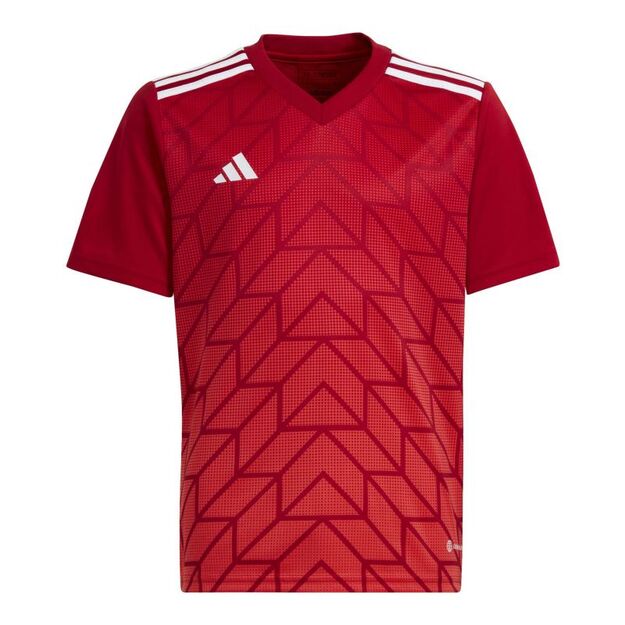 adidas Team Icon 23 Jr T-shirt HR2652