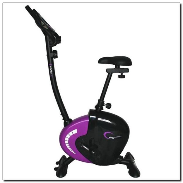 Purple magnetic bike HMS M9239V 