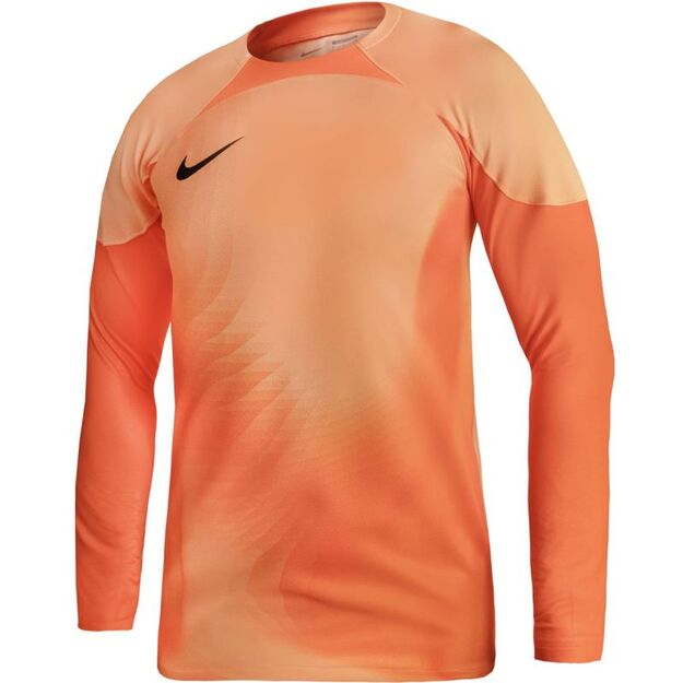 Nike Gardien IV Goalkeeper JSY M DH7967 819
