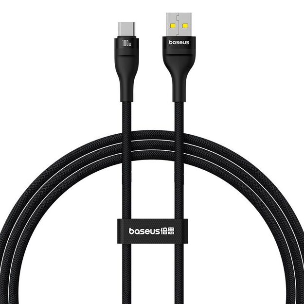 Baseus Flash 2 USB-USB C Cable 100W 1m (Black)