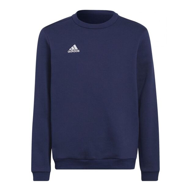 Adidas Entrada 22 Hoody Jr Sweatshirt H57568