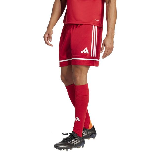 adidas Squadra M 25 Short JN5466 football shorts