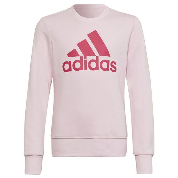 Adidas Big Logo SWT Jr HM8709 sweatshirt