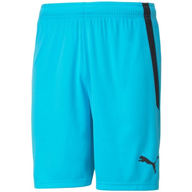 Puma teamLIGA M 704924 40 shorts
