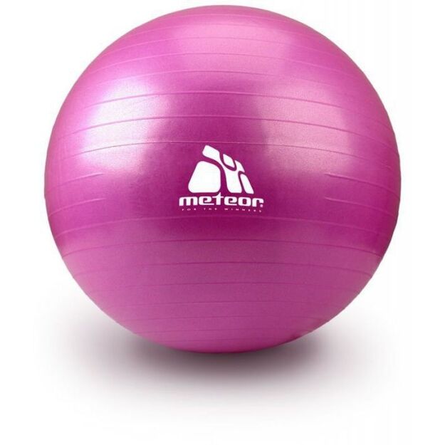 Meteor Gymnastics Ball 55 cm Pink 31170