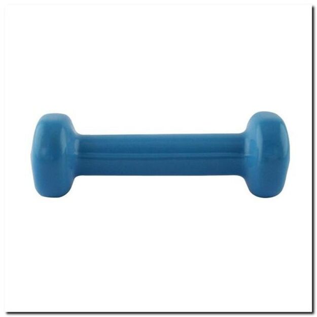 Vinyl-coated cast iron weight 0.5kg 17023 17-47-000