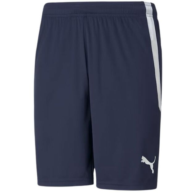 Puma teamLIGA M 704924 06 shorts