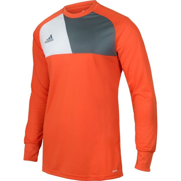 adidas Assita 17 M AZ5398 goalkeeper jersey