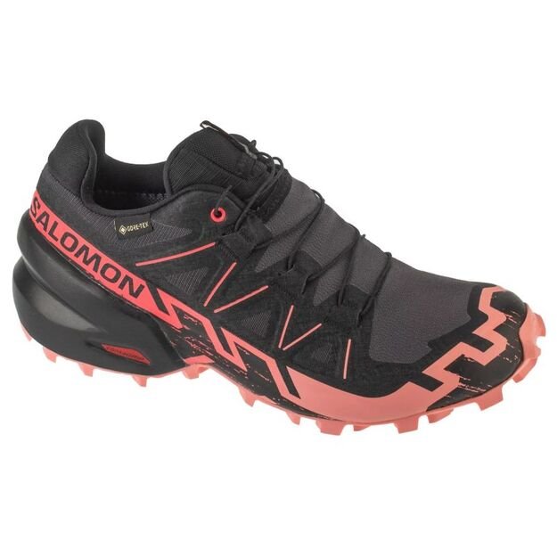 Salomon Speedcross 6 GTX W L47880400 Gray 38