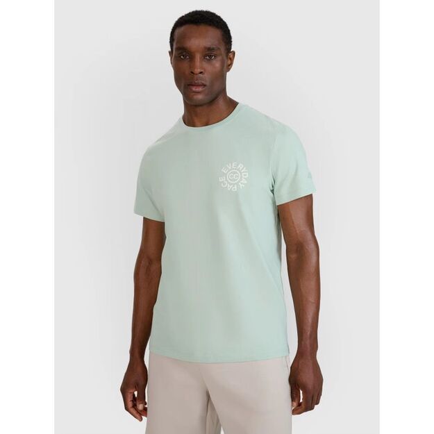 Men\ s regular printed T-shirt 4F 4FWSS25TTSHM1980-47S