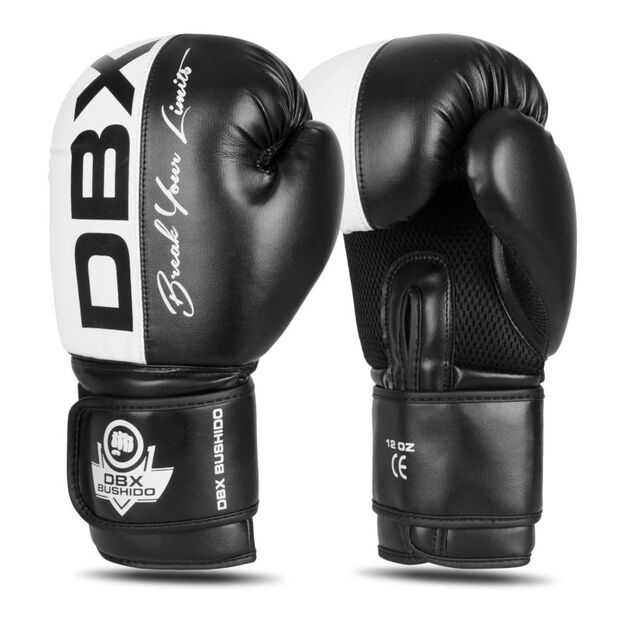 10oz Boxing Gloves - Harmony - Valor Series
