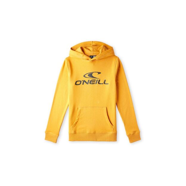 O\ Neill Logo Hoodie Jr 92800615006