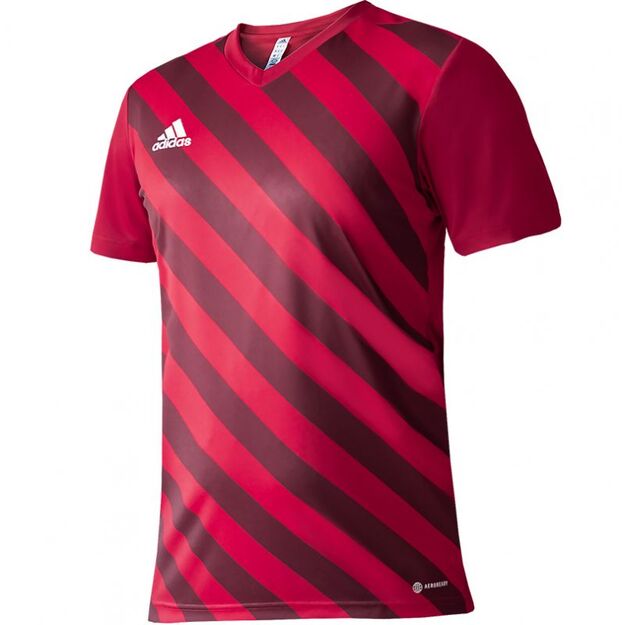 adidas Entrada 22 Graphic Jersey Jr H58983